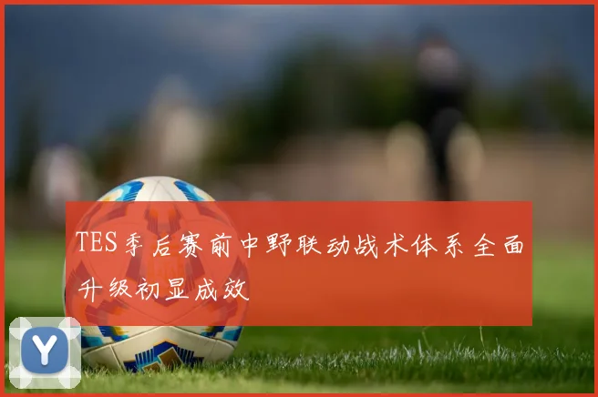 TES季后赛前中野联动战术体系全面升级初显成效